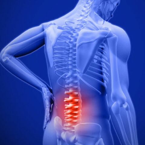 Your Work Station and Back Pain | Absolute Chiropractic AZ